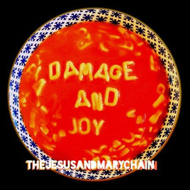 Jesus & Mary Chain DAMAGE & JOY - Vinyl