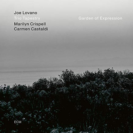 Joe Lovano/Marilyn Crispell/Carmen Castaldi Garden Of Expression [LP] - Vinyl