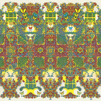 
              King Gizzard and the Lizard Wizard Butterfly 3000 (Limited Edition, Gatefold LP Jacket, Colored Vinyl, Indie Exclusive) (Japanese Edition) - Vinyl
            