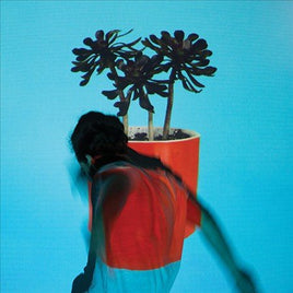 Local Natives SUNLIT YOUTH (LP) - Vinyl