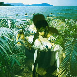 Local Natives / Sylvan Esso Dark Days [7" Single] - Vinyl