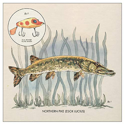 Lowe, Nick Lay It On Me - Vinyl