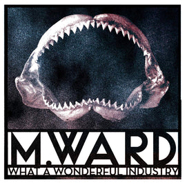M. Ward What a Wonderful Industry - Vinyl