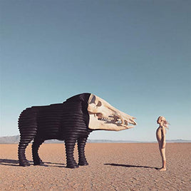 Man Man Dream Hunting in the Valley of the In-Between - Vinyl