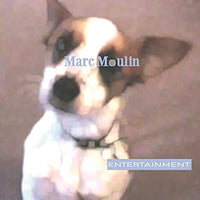 
              Marc Moulin Entertainment [Limited Edition, 180-Gram Translucent Vinyl] [Import] - Vinyl
            