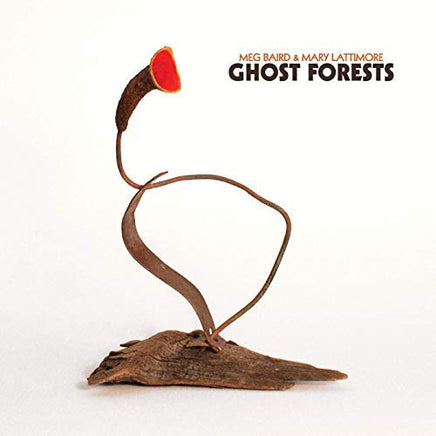 Meg And Mary Lattimore Baird Ghost Forests - Vinyl