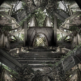 Moon Tooth Crux - Vinyl