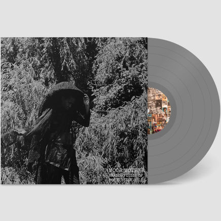 Moor Mother Analog Fluids of Sonic Black Holes (Indie Exclusive Gray Vinyl) - Vinyl