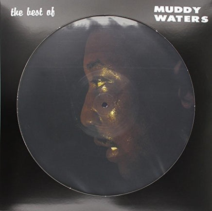 Muddy Waters The Best Of Muddy Waters (Picture Disc) - Vinyl