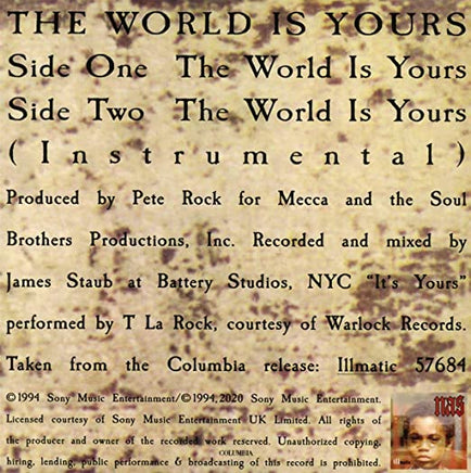 Nas The World Is Yours (7" vinyl) - Vinyl