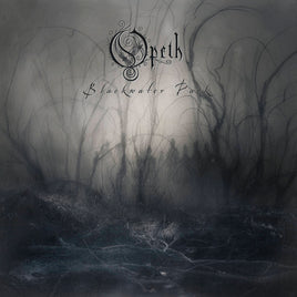 Opeth Blackwater Park: 20th Anniversary Edition [Indie Exclusive Limited Edition Silver 2LP] - Vinyl