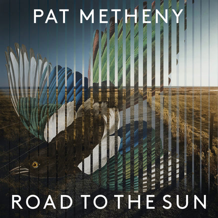 Pat Metheny Road to the Sun (Limited Deluxe Boxset) - Vinyl