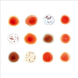 Peter Gabriel Scratch My Back - Vinyl