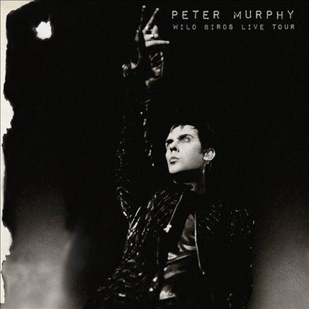 Peter Murphy WILD BIRDS LIVE TOUR - Vinyl