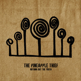 Pineapple Thief Nothing But The Truth (2 Lp's) - Vinyl