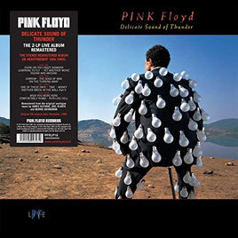 Pink Floyd Delicate Sound Of Thunder - Vinyl