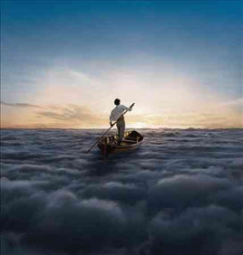 Pink Floyd THE ENDLESS RIVER - Vinyl