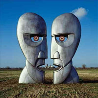 
              Pink Floyd The Division Bell [20th Anniversary Edition] - Vinyl
            