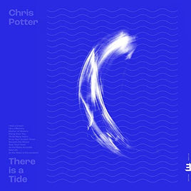 Potter, Chris There Is A Tide - Vinyl