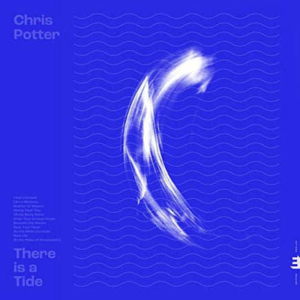 Potter, Chris There Is A Tide - Vinyl