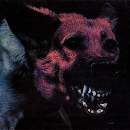 Protomartyr UNDER COLOR OF OFFICIAL RIGHT - Vinyl