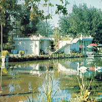 
              Real Estate Real Estate (Vinyl) - Vinyl
            