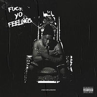 
              Robert Glasper Fuck Yo Feelings [2 LP] - Vinyl
            