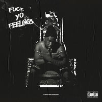 
              Robert Glasper Fuck Yo Feelings [2 LP] - Vinyl
            