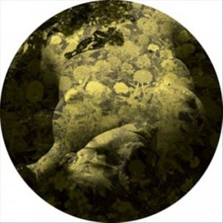 Salva Yellobone - 12 - Vinyl