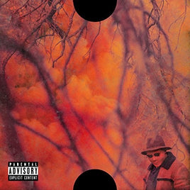 ScHoolboy Q Blank Face Lp [Explicit Content] (2 Lp's) - Vinyl