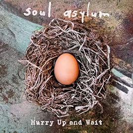 Soul Asylum Hurry Up and Wait - Vinyl