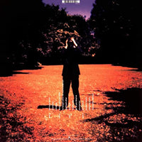 
              Steven Wilson Insurgentes (2 Lp's) - Vinyl
            