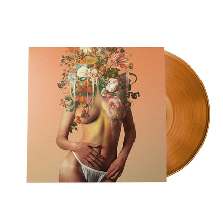 Stop Light Observations oRANGE. (140 Gram Orange Vinyl | Printed Innersleeve w/Lyrics) - Vinyl