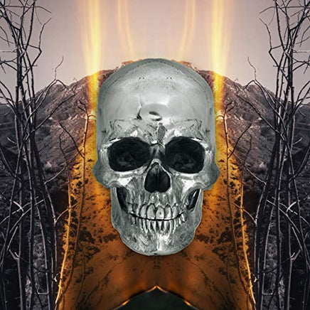 THE NEVERLY BOYS Dark Side of Everything - Vinyl