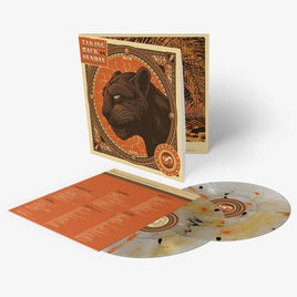 Taking Back Sunday Twenty - Vinyl