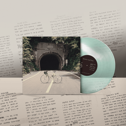 The Backseat Lovers When We Were Friends (2LP) - Vinyl