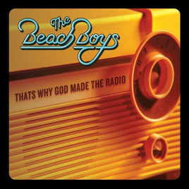 The Beach Boys THAT'S WHY GOD MADE - Vinyl