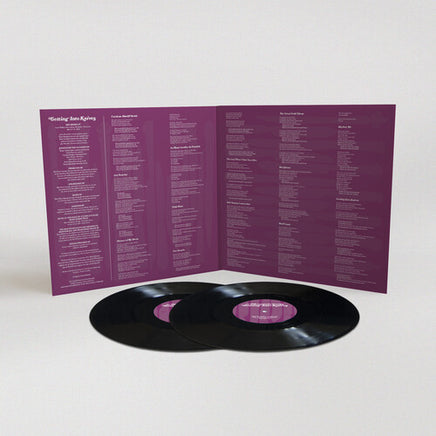 The Mountain Goats Getting Into Knives (Black, Gatefold LP Jacket, Digital Download Card) (2 Lp's) - Vinyl