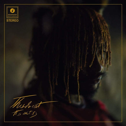 Thundercat It Is What It Is (Colored Vinyl, Cream, 140 Gram Vinyl, Indie Exclusive, Photos) - Vinyl