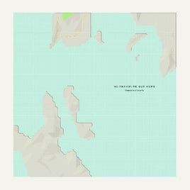 Tindersticks No Treasure But Hope (Limited Edition Clear Vinyl) - Vinyl