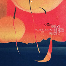 Tom Misch/Yussef Dayes What Kinda Music [2 LP] - Vinyl