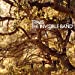 
              Travis The Invisible Band (20th Anniversary) [LP] - LP
            