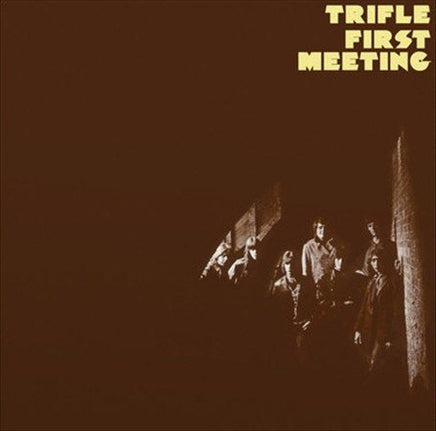 Trifle First Meeting - Vinyl