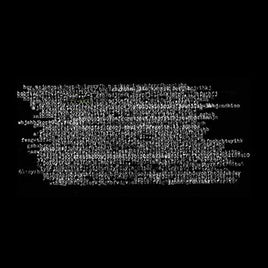 Ty Segall Ty Rex - Vinyl