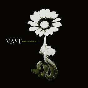 Vast Music for People - Vinyl