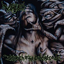 Vile Stench Of The Deceased - Vinyl