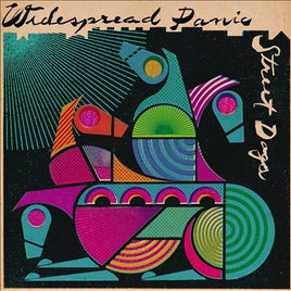 Widespread Panic STREET DOGS (VINYL) - Vinyl