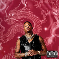 
              Yg Stay Dangerous [LP] - Vinyl
            