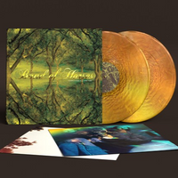 
              Band Of Horses Everything All the Time (20th Anniversary Edition) (Limited Edition, Metallic Gold Colored Vinyl) (2 Lp's) - Vinyl
            