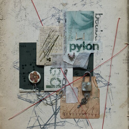 beabadoobee Pylon [Explicit Content] (Indie Exclusive, Limited, W/ Poster) [Oyster Vinyl] - Vinyl